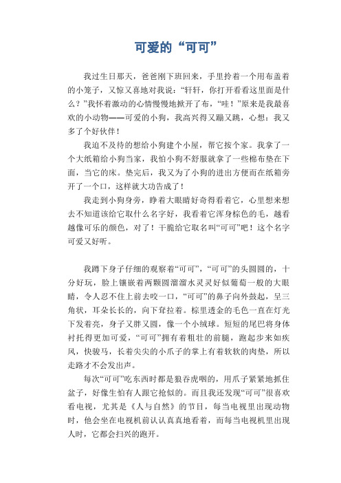 小学生作文范文：可爱的“可可”