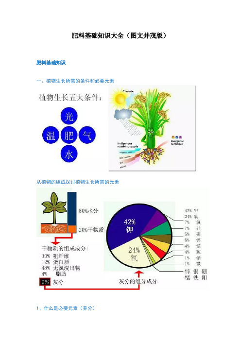肥料基础知识大全