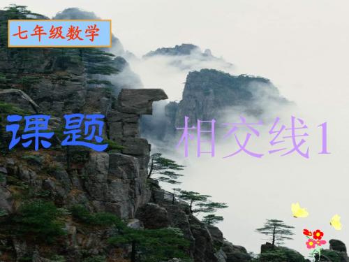 华师大七年级上第四章图形的初步认识§4.7 《垂线》