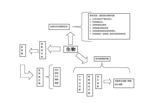 生物思维导图
