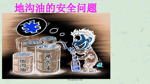 地沟油的安全问题课件