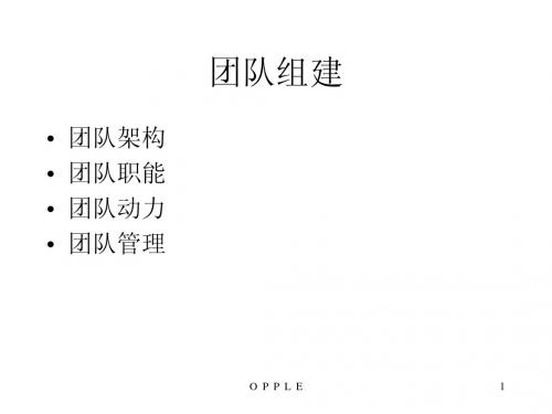 “鹰狼”团队管理