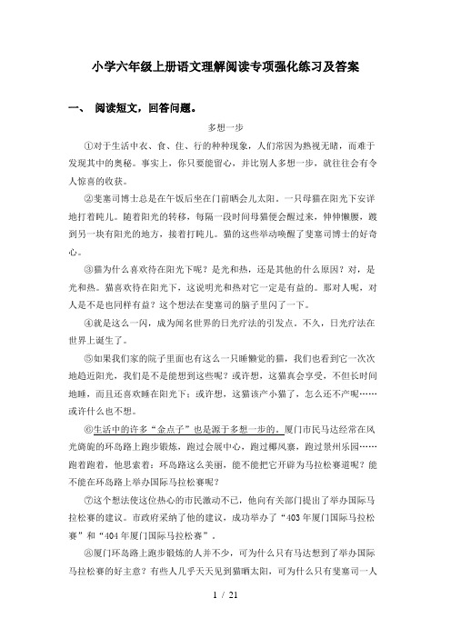 小学六年级上册语文理解阅读专项强化练习及答案