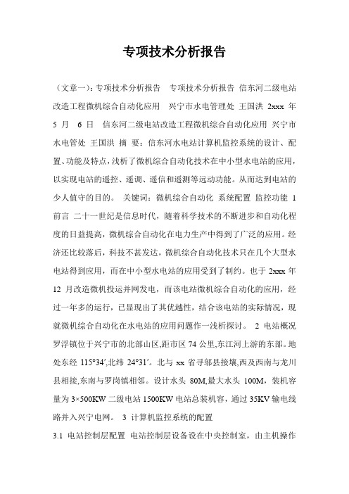 专项技术分析报告