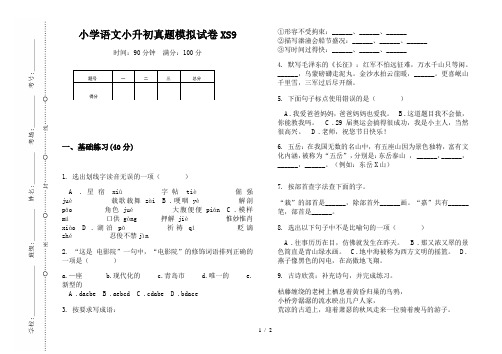 【小学教育】2019最新小学语文小升初(通用版)真题模拟试卷XS9—8K可直接打印