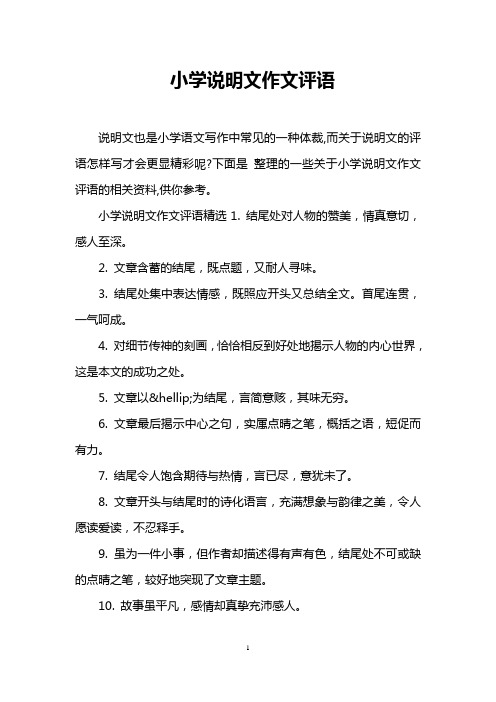 小学说明文作文评语