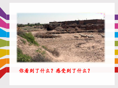 人教版小学六年级语文上册第四单元第十六课《青山不老》名师课件
