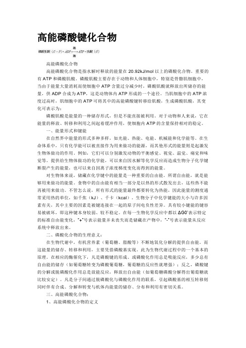 高能磷酸化合物