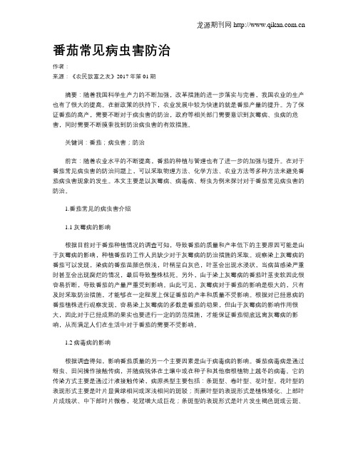 番茄常见病虫害防治