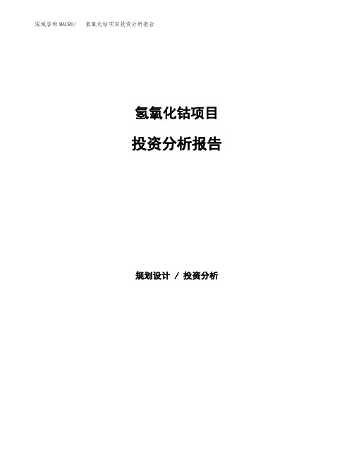 氢氧化钴项目投资分析报告