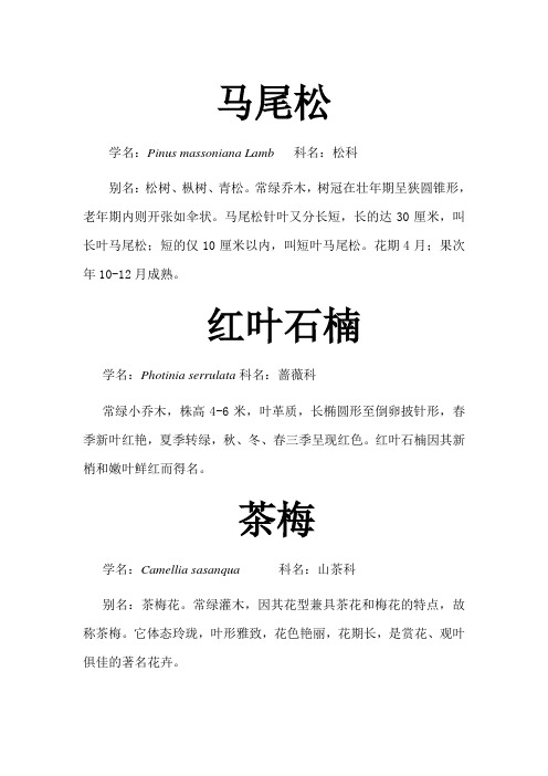 校园植物名片