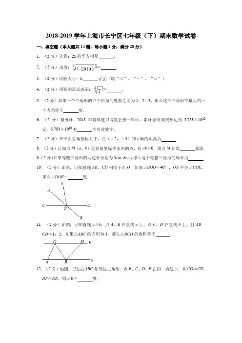 2018-2019学年上海市长宁区七年级(下)期末数学试卷