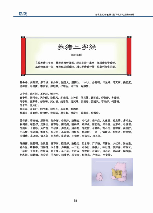 养猪三字经