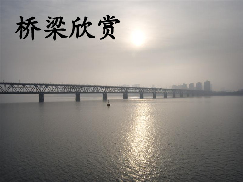 四年级语文上册第20课皮巧根桥1语文S版精品 课件 