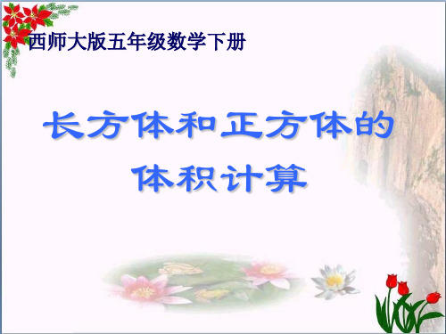 《长方体和正方体的体积计算》长方体和正方体的认识精品 课件 