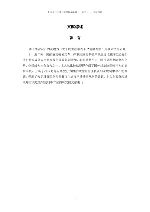 文献综述