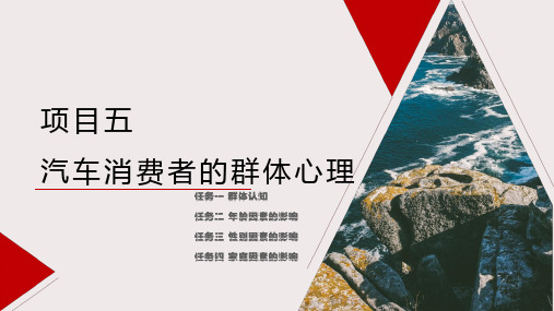 汽车消费心理学- 汽车消费者的群体心理