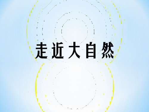 一年级下册美术课件-走近大自然3_人教新课标(秋) (共张PPT)