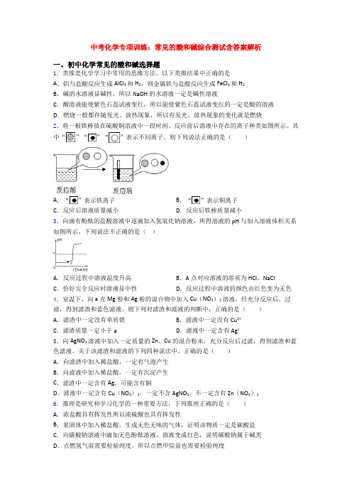 中考化学专项训练：常见的酸和碱综合测试含答案解析