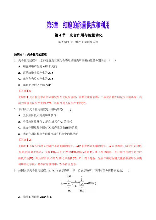 第5.4.2节 光合作用与能量转化-高一生物课时同步练(人教版2019必修1)(解析版)