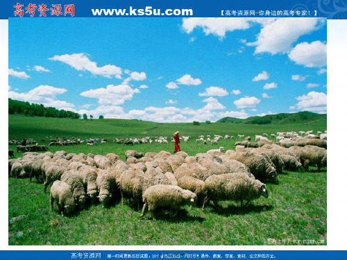 湖南师范大学附属中学高三地理复习区域地理环境和人类活动1课件
