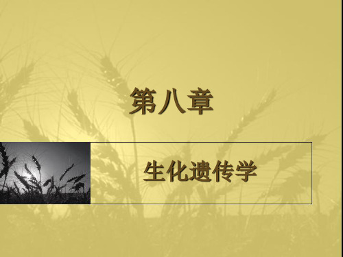 医学遗传学课件：第8章 生化遗传学