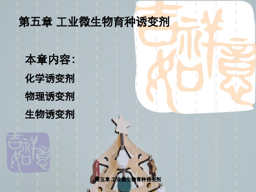 第五章 工业微生物育种诱变剂