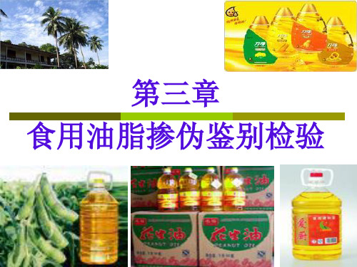 模块三-食用油脂掺伪鉴别检验