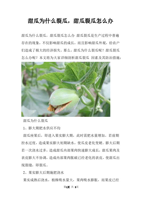 甜瓜为什么裂瓜，甜瓜裂瓜怎么办