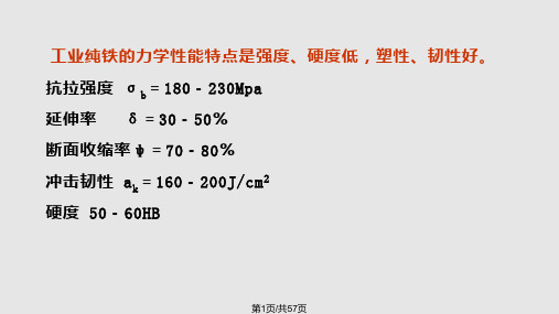 理学铁碳相图PPT课件