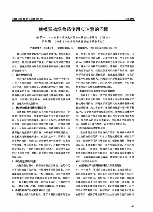 规模蛋鸡场兽药使用应注意的问题