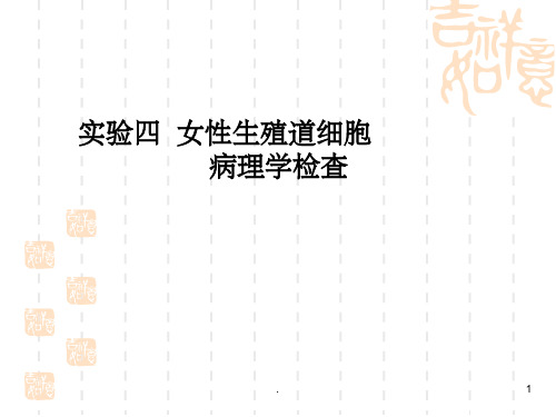 宫颈细胞学ppt课件