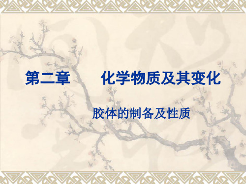 胶体 公开课