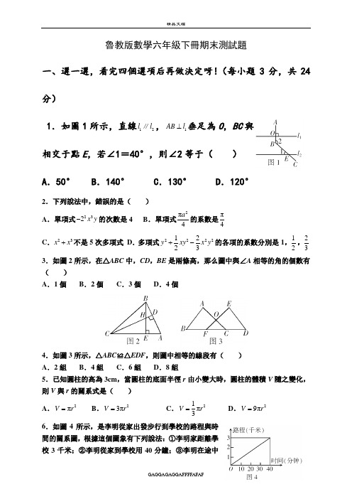 鲁教版数学六年级下册期末测试题