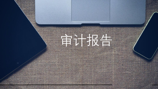 审计报告PPT