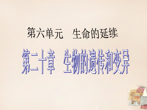 中考生物 考点梳理复习 第六单元 第二十章 生物的遗传和变异课件