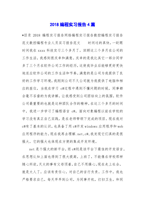 2018编程实习报告4篇