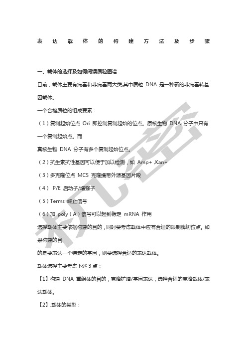 表达载体的构建方法及步骤
