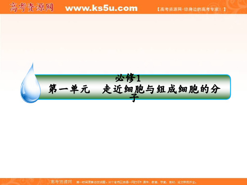 高考生物一轮复习精品课件：1-1-1-1走近细胞 
