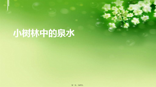 小树林中的泉水