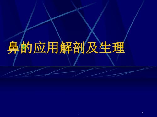 鼻解剖ppt演示课件ppt演示课件