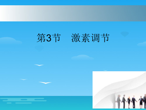 《激素调节》PPT下载[优秀课件资料]