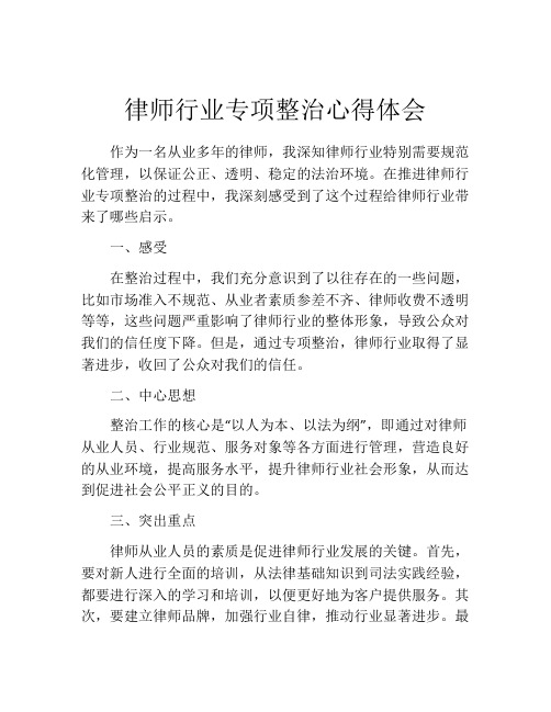 律师行业专项整治心得体会