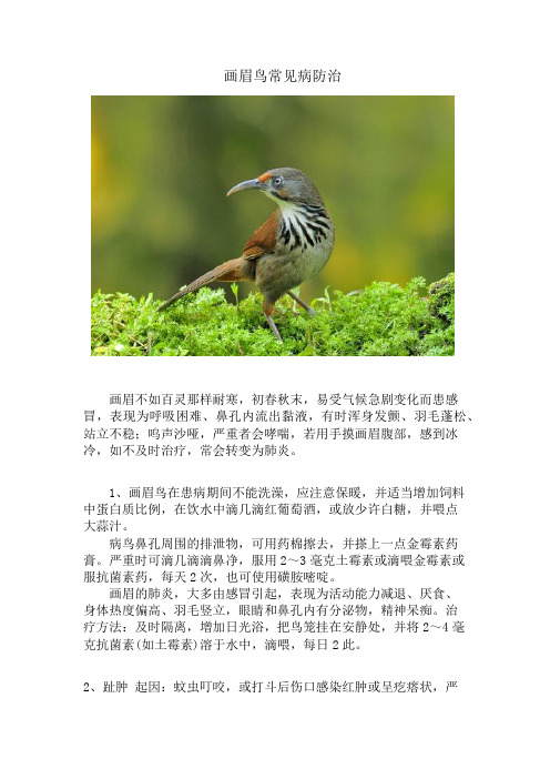 画眉鸟常见病防治