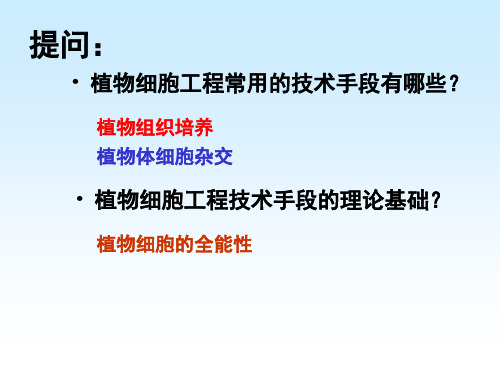 【全国百强校】人教版高中生物选修三课件：2.2 动物细胞工程(共28张PPT)