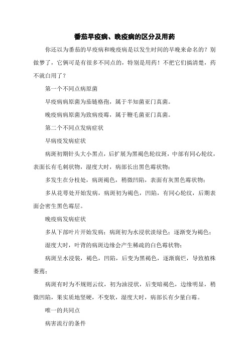 番茄早疫病、晚疫病的区分及用药