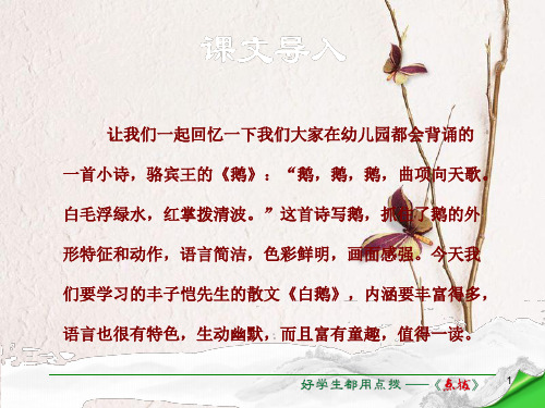 七年级语文下册 第1单元 第3课 白鹅课件 语文版.ppt