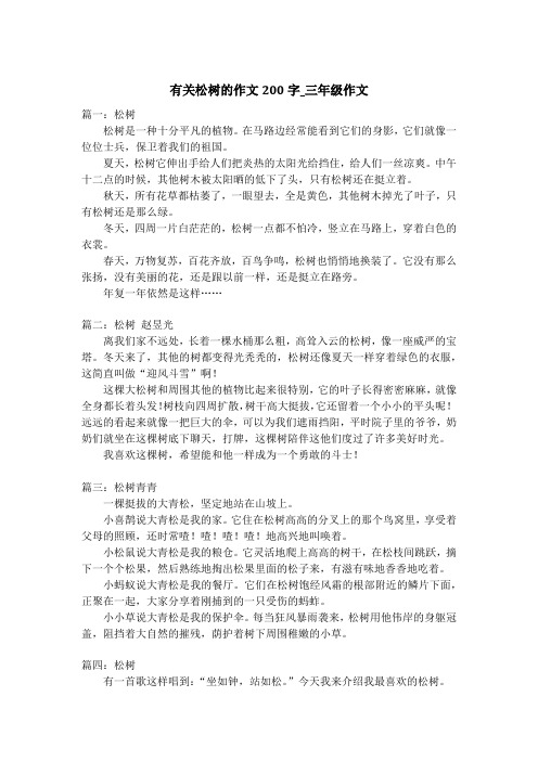 有关松树的作文200字_三年级作文