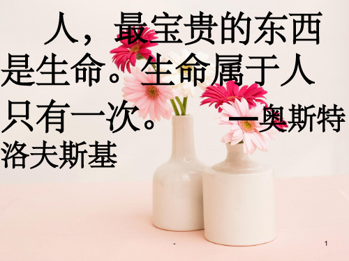 人教版六下智慧之花课件ppt