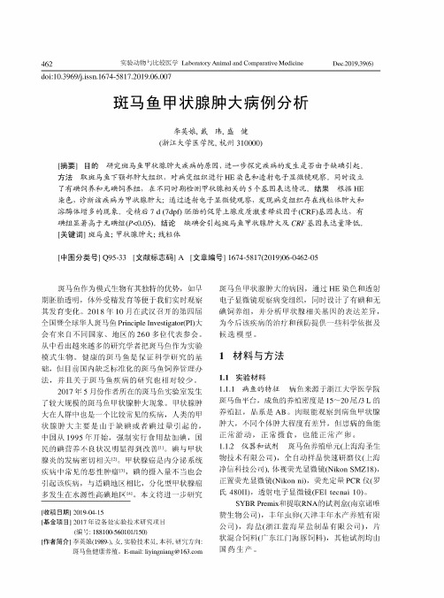 斑马鱼甲状腺肿大病例分析